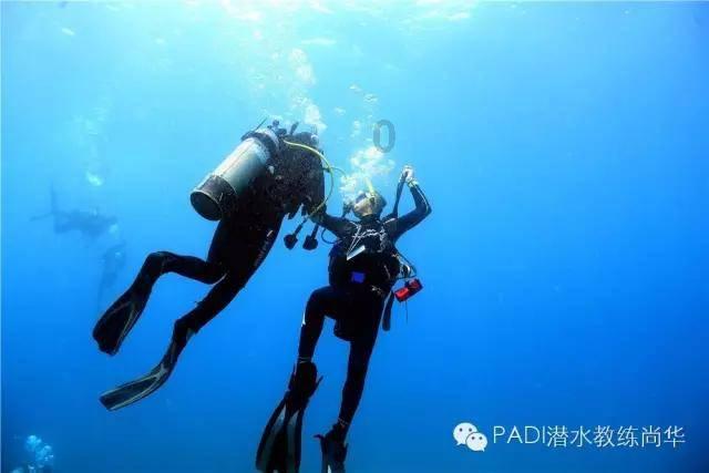 无尽战区·觉醒