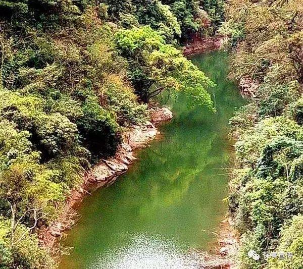 橘喵示范猫跳台新用法，软烂趴跳台一脸厌世，奴才无奈！